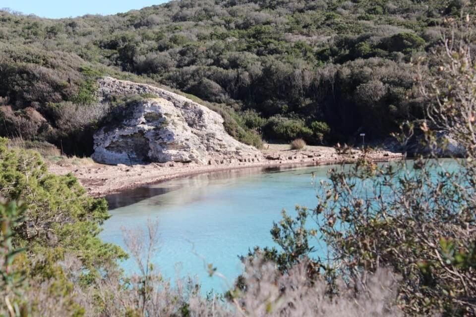 Case Di A Cappana-Villa Vincent Bonifacio  Εξωτερικό φωτογραφία